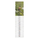 Falinaptár CSG 110x480mm álló Szép napot jegyzet 2026.