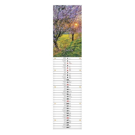 Falinaptár CSG 110x480mm álló Szép napot jegyzet 2026.