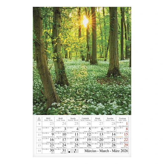 Falinaptár CSG 210x320mm álló Erdeink világa 2026.