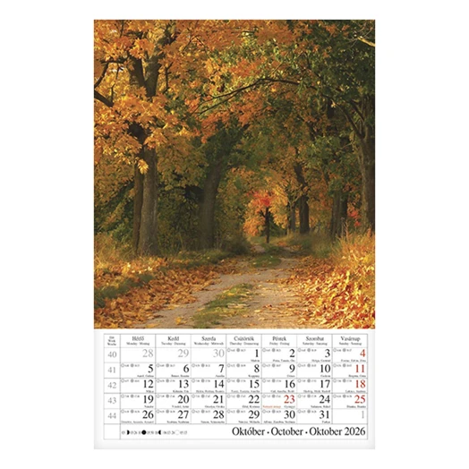 Falinaptár CSG 210x320mm álló Erdeink világa 2026.