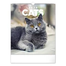 Falinaptár REALSYSTEM 300x340mm álló Cats 2026.