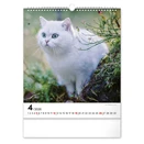 Falinaptár REALSYSTEM 300x340mm álló Cats 2026.