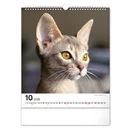 Falinaptár REALSYSTEM 300x340mm álló Cats 2026.