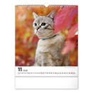 Falinaptár REALSYSTEM 300x340mm álló Cats 2026.