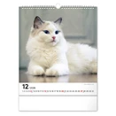 Falinaptár REALSYSTEM 300x340mm álló Cats 2026.