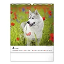 Falinaptár REALSYSTEM 300x340mm álló Dogs 2026.