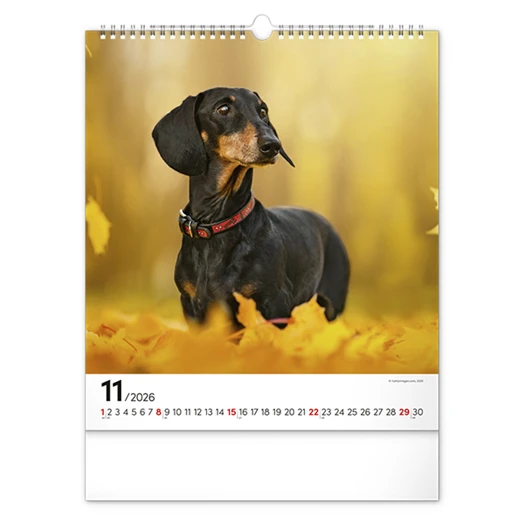 Falinaptár REALSYSTEM 300x340mm álló Dogs 2026.