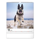 Falinaptár REALSYSTEM 300x340mm álló Dogs 2026.