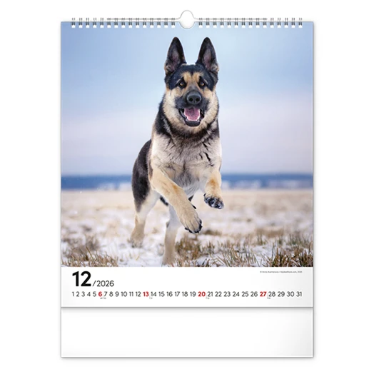 Falinaptár REALSYSTEM 300x340mm álló Dogs 2026.