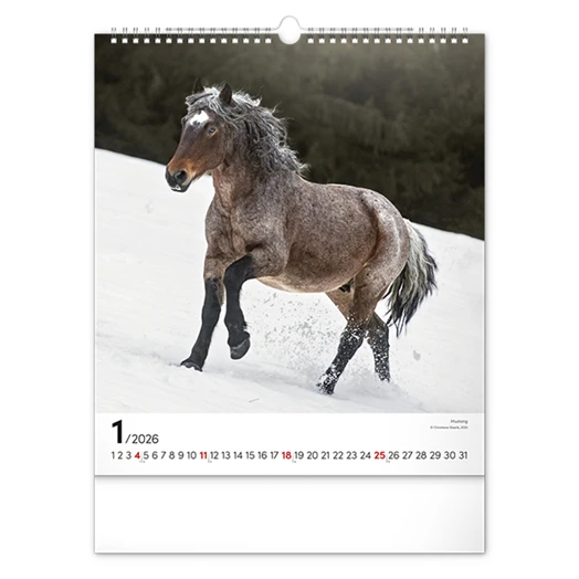 Falinaptár REALSYSTEM 300x340mm álló Horses 2026.