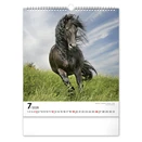 Falinaptár REALSYSTEM 300x340mm álló Horses 2026.
