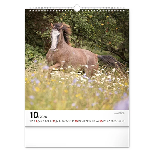 Falinaptár REALSYSTEM 300x340mm álló Horses 2026.
