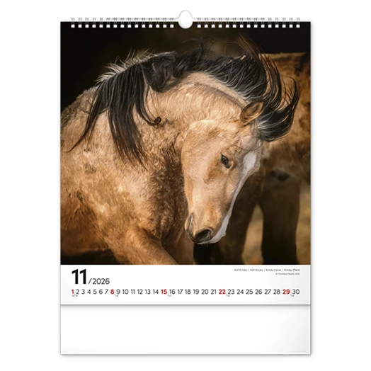 Falinaptár REALSYSTEM 300x340mm álló Horses 2026.