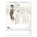 Falinaptár REALSYSTEM 300x340mm álló Horses 2026.