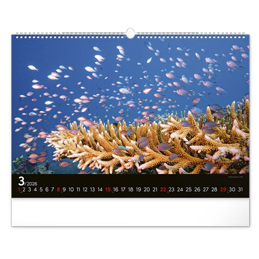 Falinaptár REALSYSTEM 480x330mm fekvő Wildlife 2026.