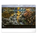 Falinaptár REALSYSTEM 480x330mm fekvő Wildlife 2026.