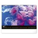 Falinaptár REALSYSTEM 480x330mm fekvő Wildlife 2026.