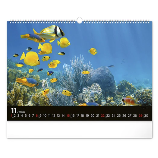 Falinaptár REALSYSTEM 480x330mm fekvő Wildlife 2026.