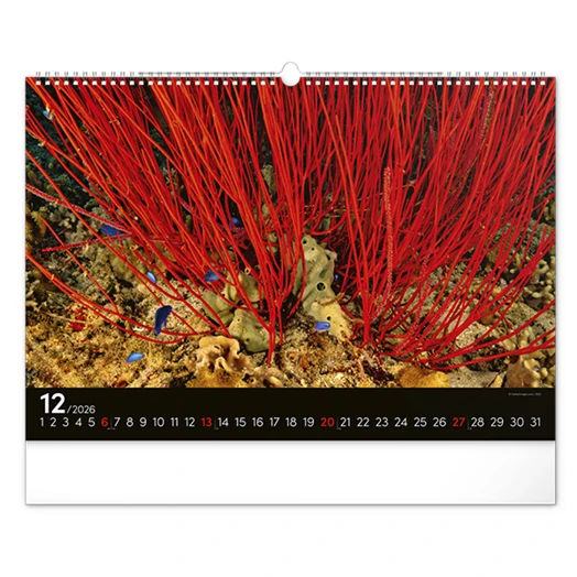 Falinaptár REALSYSTEM 480x330mm fekvő Wildlife 2026.