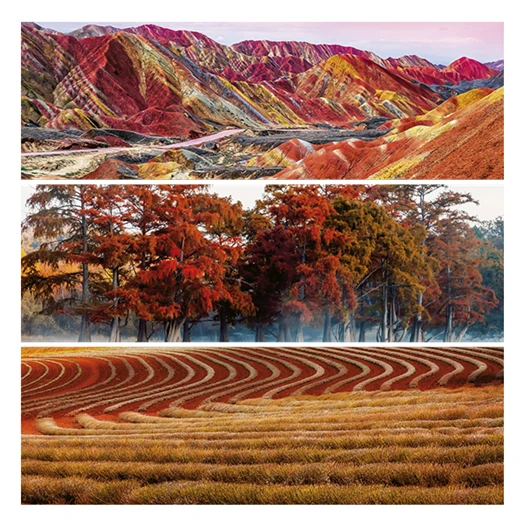 Lemeznaptár REALSYSTEM 300x300mm Palette 2026.