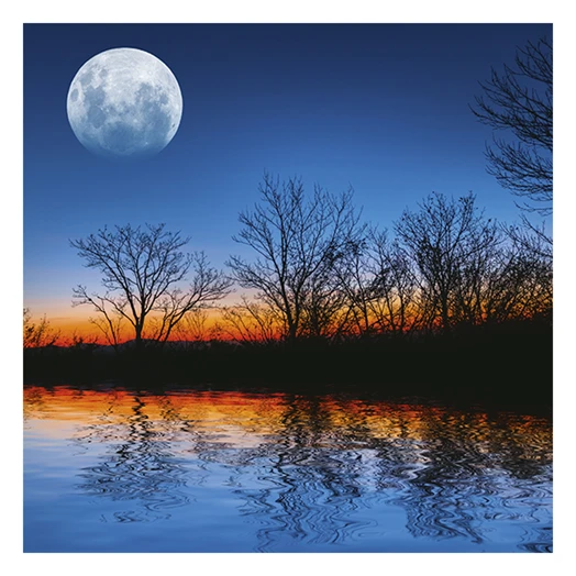 Lemeznaptár REALSYSTEM 300x300mm The moon 2026.