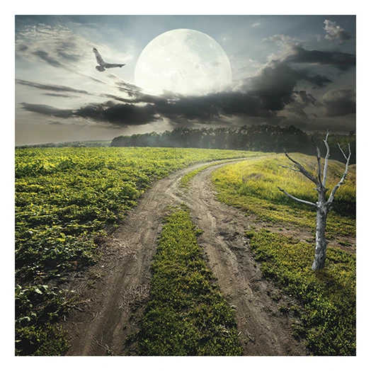 Lemeznaptár REALSYSTEM 300x300mm The moon 2026.