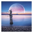 Lemeznaptár REALSYSTEM 300x300mm The moon 2026.