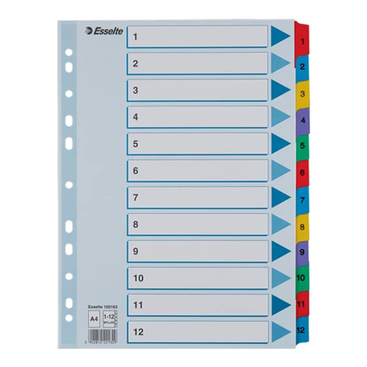 Regiszter ESSELTE Mylar A/4 laminált karton 1-12