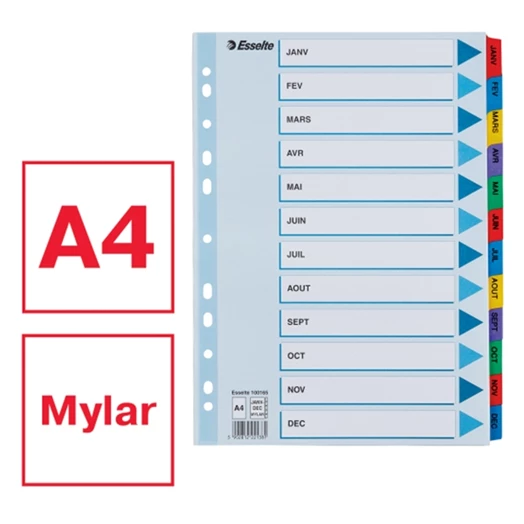 Regiszter ESSELTE Mylar A/4 laminált karton Jan-Dec